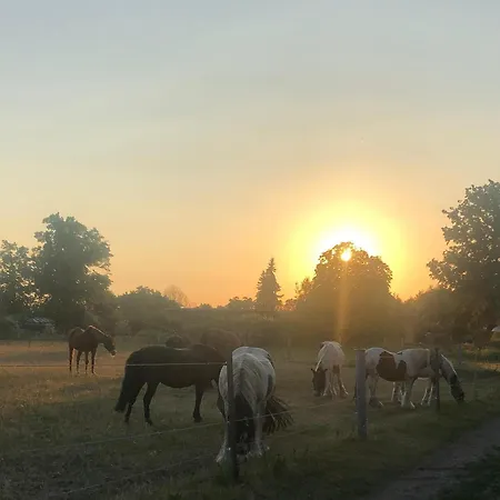 Apartment Montage Zum Walnussbaum Deutschhof
