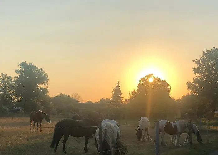 Apartment Montage Zum Walnussbaum Deutschhof